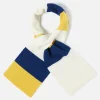 Best Deluxe Football Scarf In Ecru/Yellow/Blue Soft Wool Men Accessories.